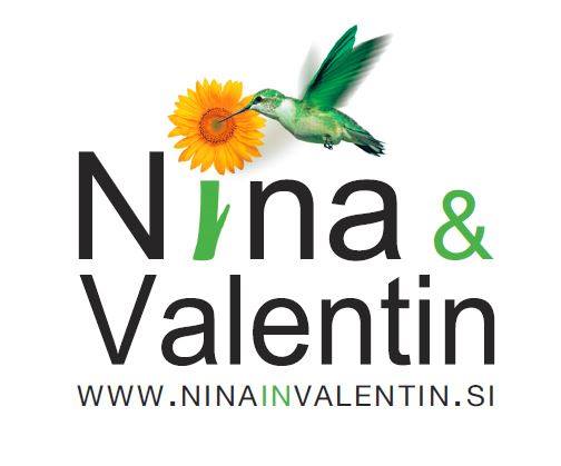 10420114_754253261337693_2985607742456695019_n-1